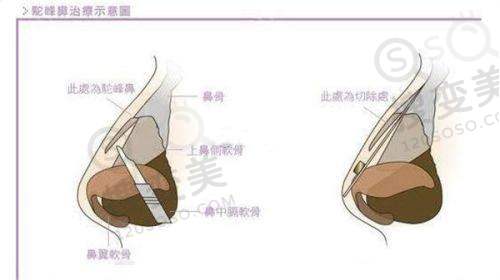 高新医生预约挂号