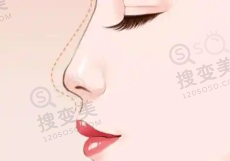 连园园院长执医荣誉