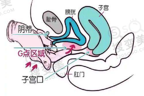 南京吸脂手术大概多少钱——南京苏王整形医院王兵医生吸脂价格及优势