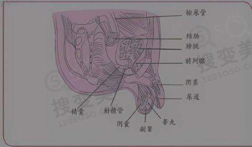 南京苏朗整形医院是正规医院吗?——服务口碑问题剖析