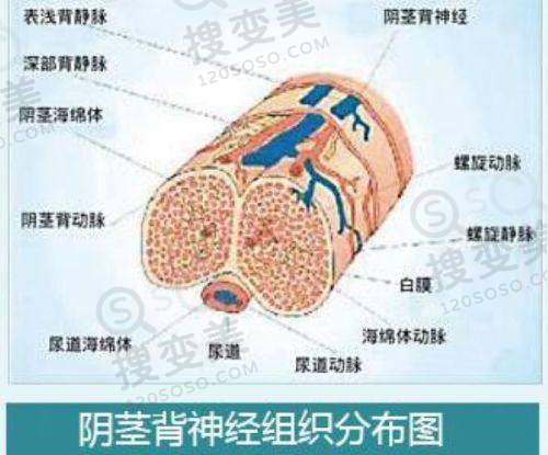 南京做双眼皮更好的医生排名之李彤彤医生