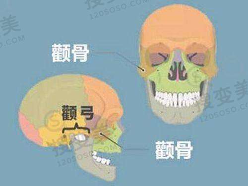 合肥整形美容医院排名前十位之维多利亚整形外科医院