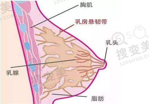 长沙哪家医美做的最好？亚韩、雅美等十家医院技术优、口碑佳值得选 