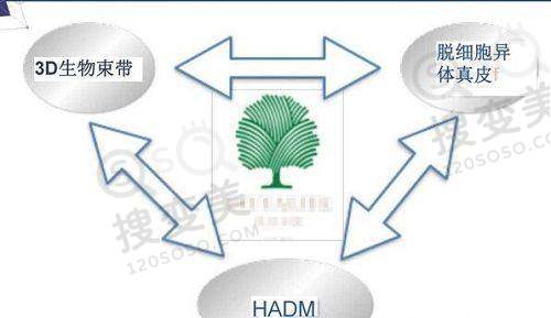 合肥隆胸选择医生的注意事项
