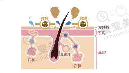 合肥双眼皮曹林咋样之真人实例成效