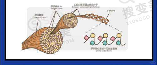 男性隆胸800cc对运动的影响