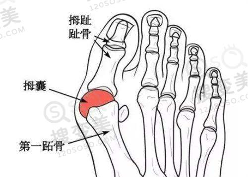 皮肤科医生免费在线问诊 - 皮肤科医生在线询问24小时免费询问的问诊内容