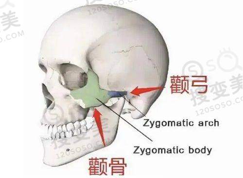 曝光!广州南方医院整形美容科2025价目表——医生推荐及收费标准常见问题答疑