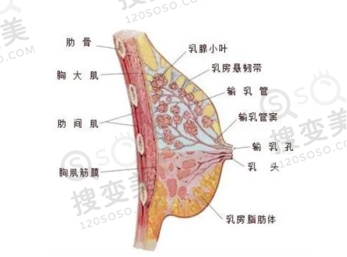 皮肤科医生免费在线问诊-24小时咨询享上海江城/重庆华肤等医院专业建议