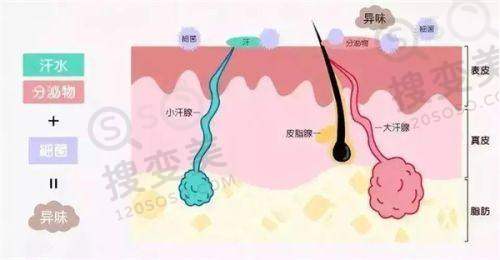 男科医院在线留电话：上海九龙医院男科问诊情况