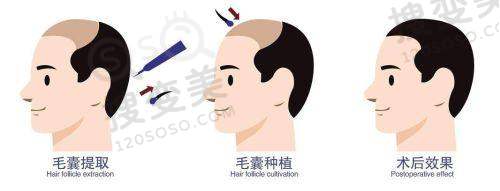 八大处张海明现坐诊美莱/联合丽格第二/张海明整形医院——坐诊医院详情