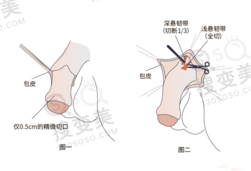 南京微芽口腔预约电话——收费合理性分析