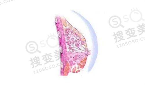 双眼皮修复的十大杰出医生排名公开:都是国内做眼修复有名的医生——肖文明医生