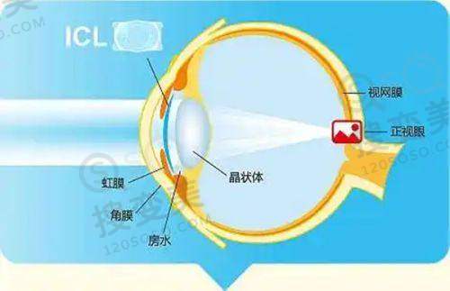 西安第四军 医 大学口腔科2025价格表上新之拔牙项目