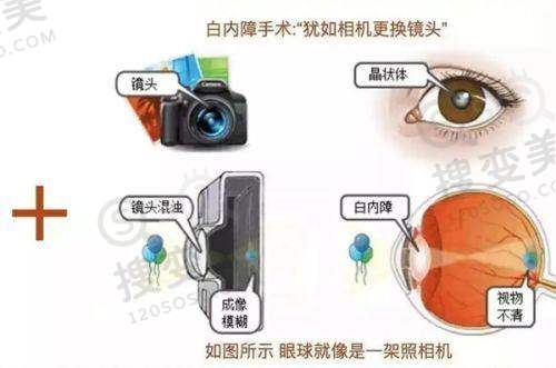 男科医生在线询问24小时免费:在线服务优势