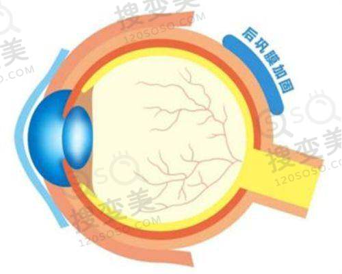 北京同仁眼科熊瑛和李婧哪个医生好?看完具体介绍和评价便知附挂号——挂号相关信息