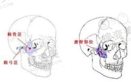 南京康贝佳口腔医院新模范马路店医生团队实力