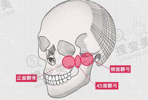 交通指引及联系方式