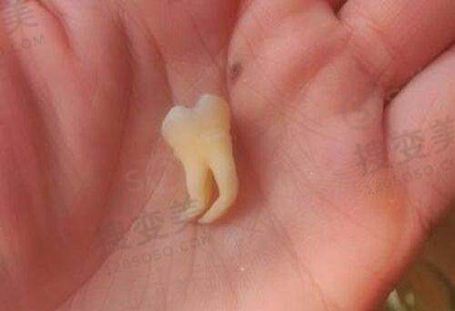 7、深圳新一坂田口腔诊所地址电话营业时间