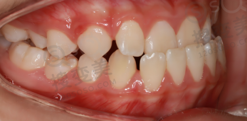 5、石狮星雅口腔门诊部医生团队实力强大及骨干医生简介