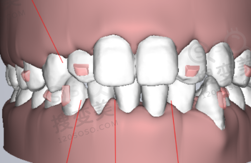 5、上海中博惠众口腔医院医生团队实力强大及骨干医生简介