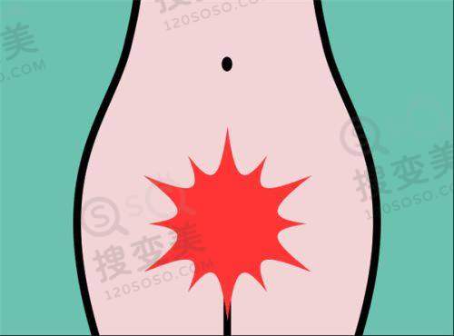 上海馥兰朵医院是正规医院吗?从医生团队来看