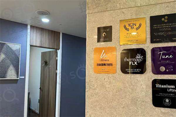 首尔清潭洞皮肤科ELEV